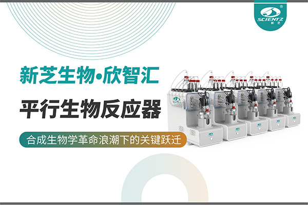培养菌株和评估工艺参数影响太难太慢？平行生物反应器提供关键解决方案！