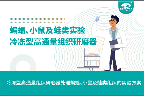 冷冻型高通量组织研磨器处理蝙蝠、小鼠及蛙类组织的实验方案