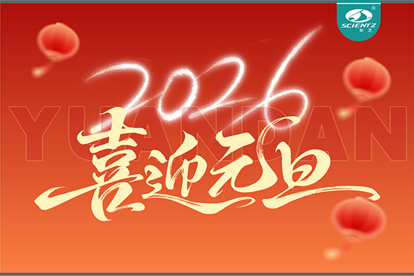 董事长周芳女士新年献词：心有定力，沐光而行