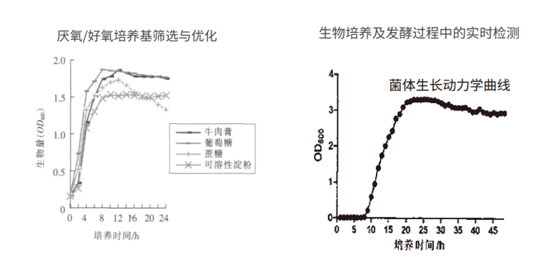过程安全，结果精准