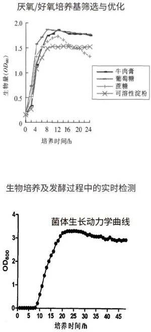 过程安全，结果精准